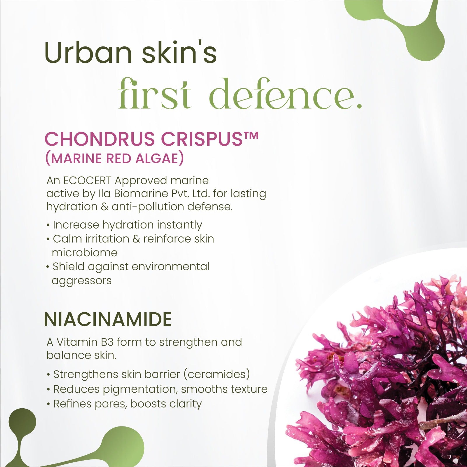 Anti-Pollutant Cleansing Spray