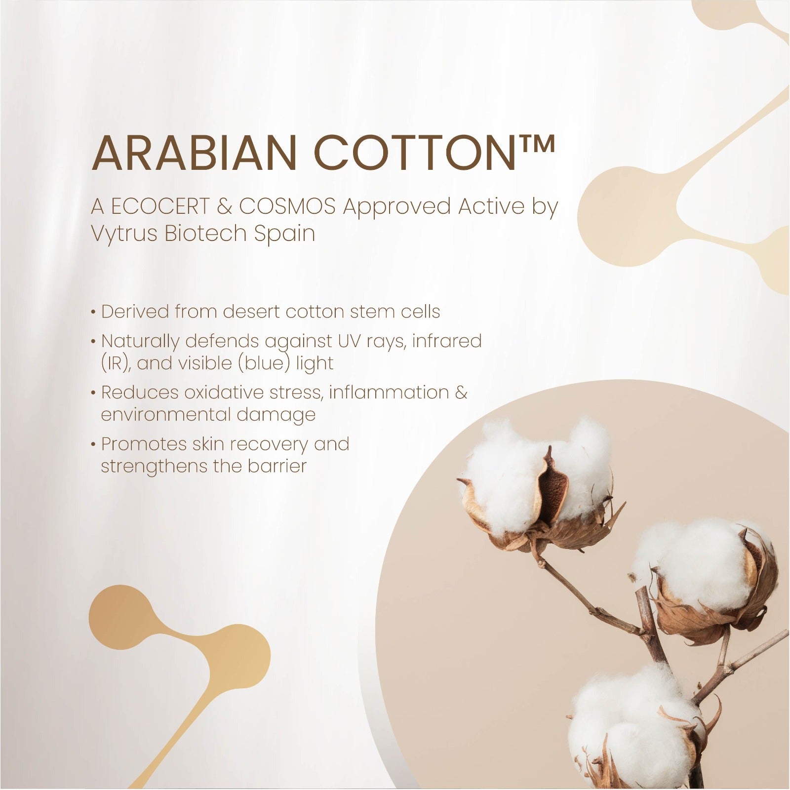 Sunscreen SPF 50 PA++++